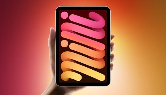 ipadmini7